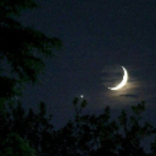 reborn into a world where the moon replaces the sun