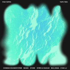 PREMIERE: Conrad Soundsystem - Strom