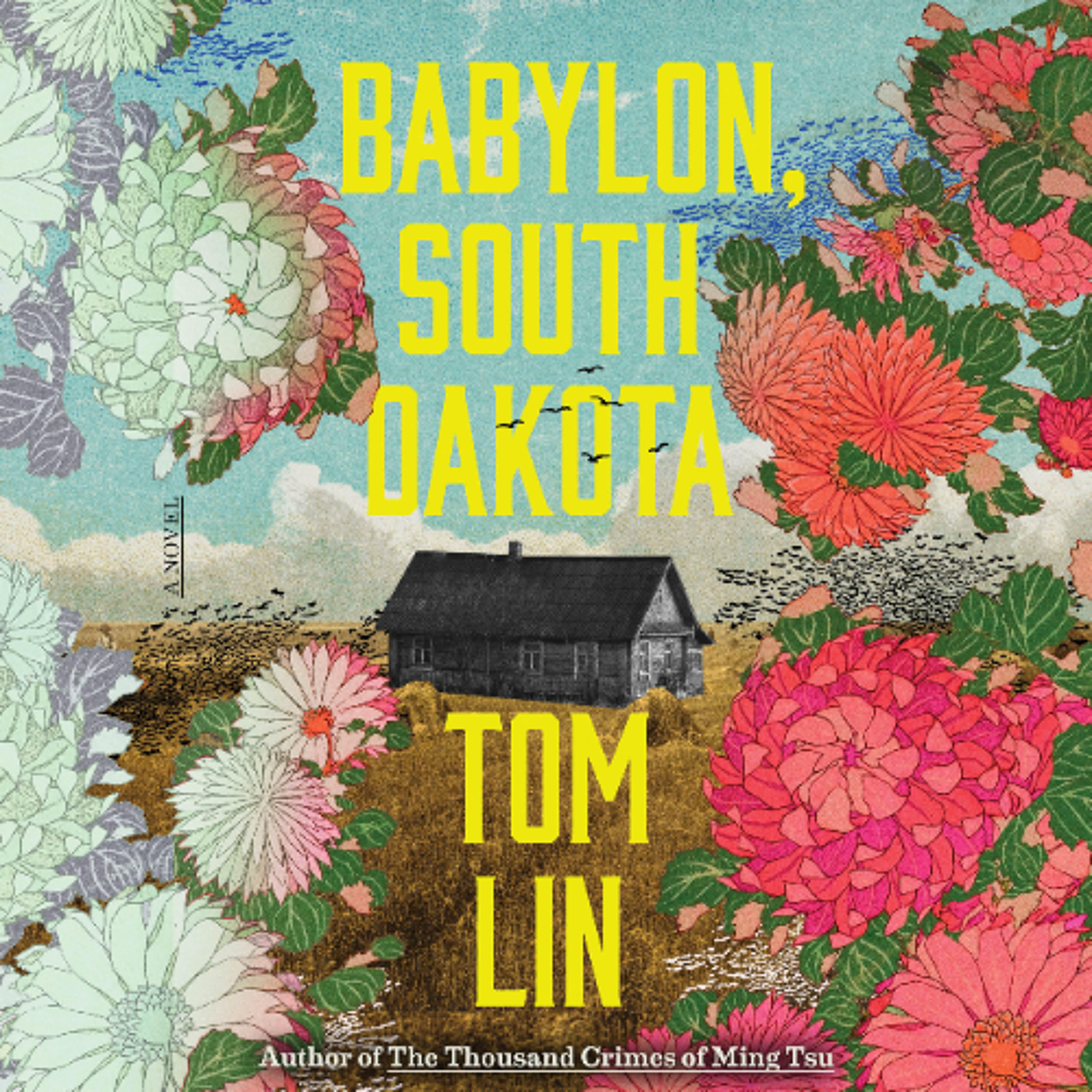 Babylon, South Dakota by Tom Lin Read by Feodor Chin