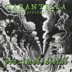 Selections 60 - proximal/distal Fuck Summer Mix