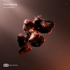 Premiere: Fran Garay - Amplitude - Melorama Música
