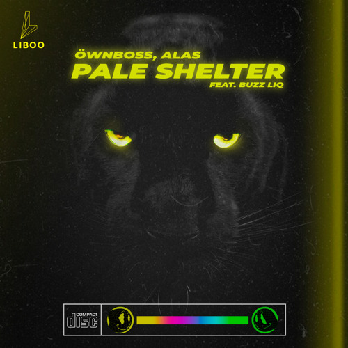 Pale Shelter (Radio Edit) [feat. Buzz Liq]