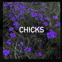 chicks