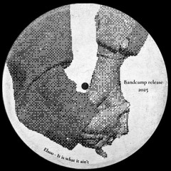 Elsoo - It is what it Ain't