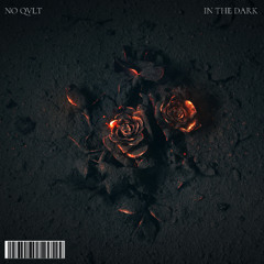 NO QVLT - In The Dark