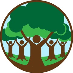 Riding the Waves of Our Experience Meditation