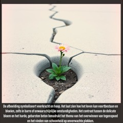 De Kunst van Vrouw Zijn