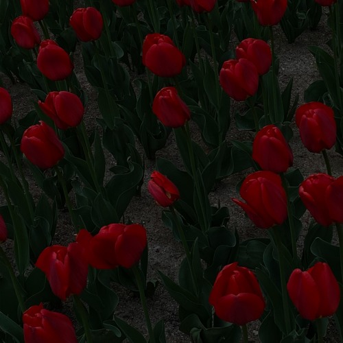 Breathing In April(2021)