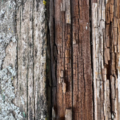 Weathered