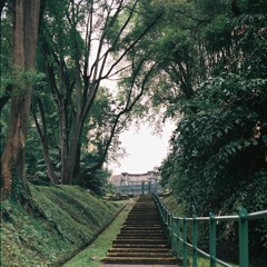 Little Talks by Of Monsters and Men - Acoustic Cover