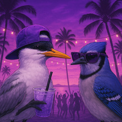 HOT WINGS (ZEENITRO 'Resort' Remix)