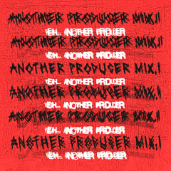 ANOTHER PRODUCER VOL.1 (ID MIX)