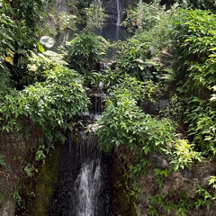 waves (feat. ag, crispy crip)