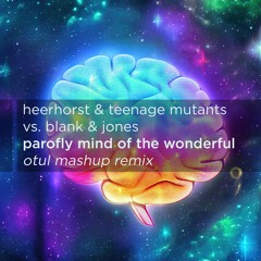 Blank & Jones vs. Heerhorst & Teenage Mutants - Parofly of the wonderful (Otul mashup remix)
