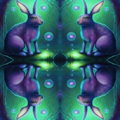 2023 Year of the Water Rabbit (Psychedelic Trance)