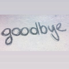 the goodbye I wanted