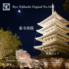 東寺夜桜