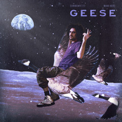 GEESE w Shroomy777 (prod. MARI GETI) (video in description)