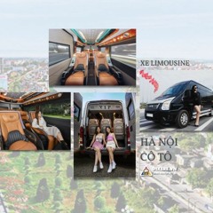 Xe Limousine Hà Nội Cô Tô | Đón/Trả Tận Nhà 2024