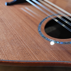 Honduran rosewood & sinker Redwood sig bouzouki
