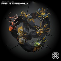 FORMICAE MYRMECOPHILIA (GMVA002)