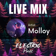 Electric Pines 2024 Live Mix