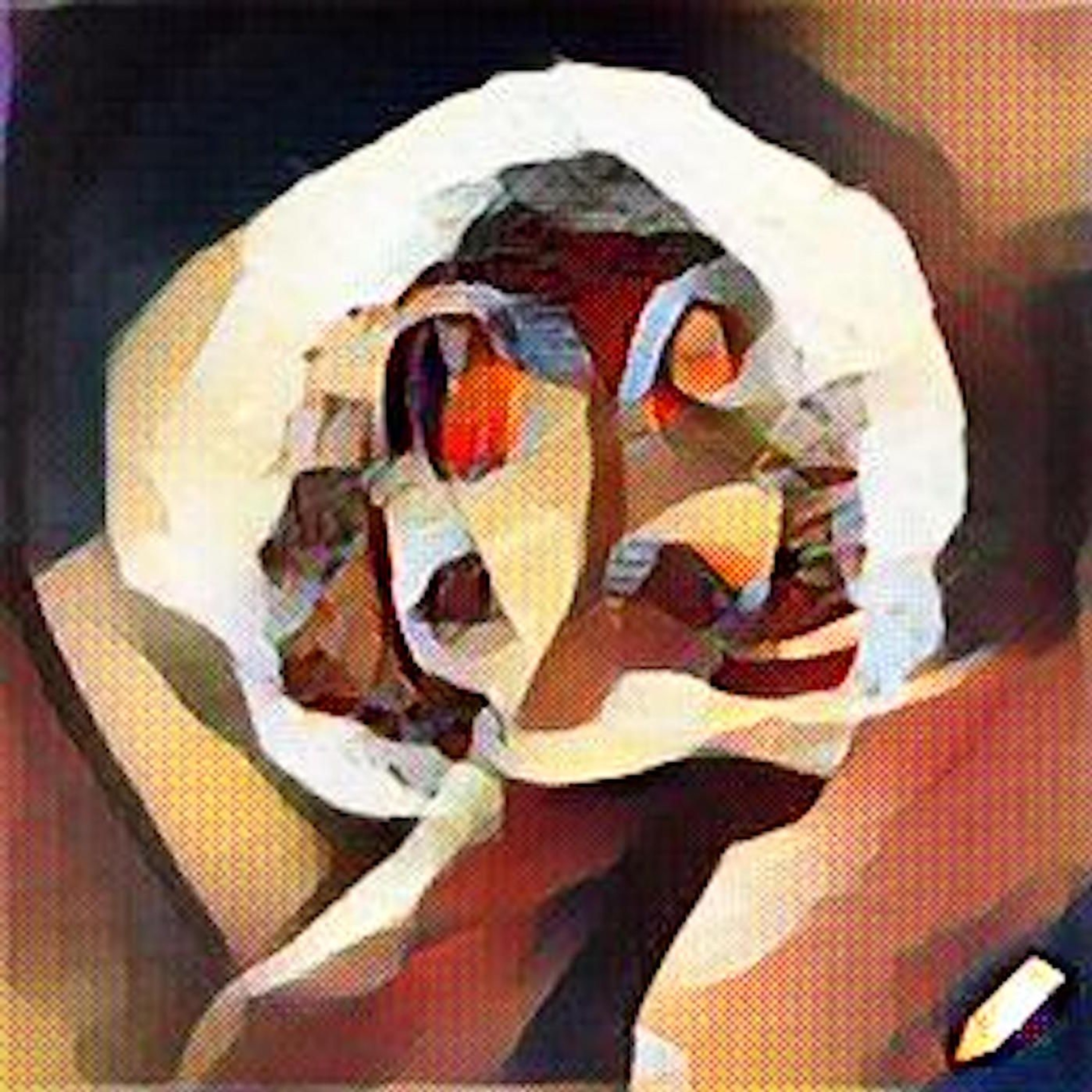 Becoming A Thing  - Pseudo American episode artwork