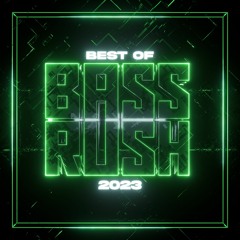 Best of Bassrush Records: 2023 (DJ Mix)