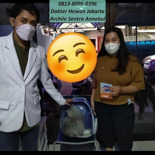 0813-8096-0396 Praktek Dokter Hewan Menteng Jakarta Pusat