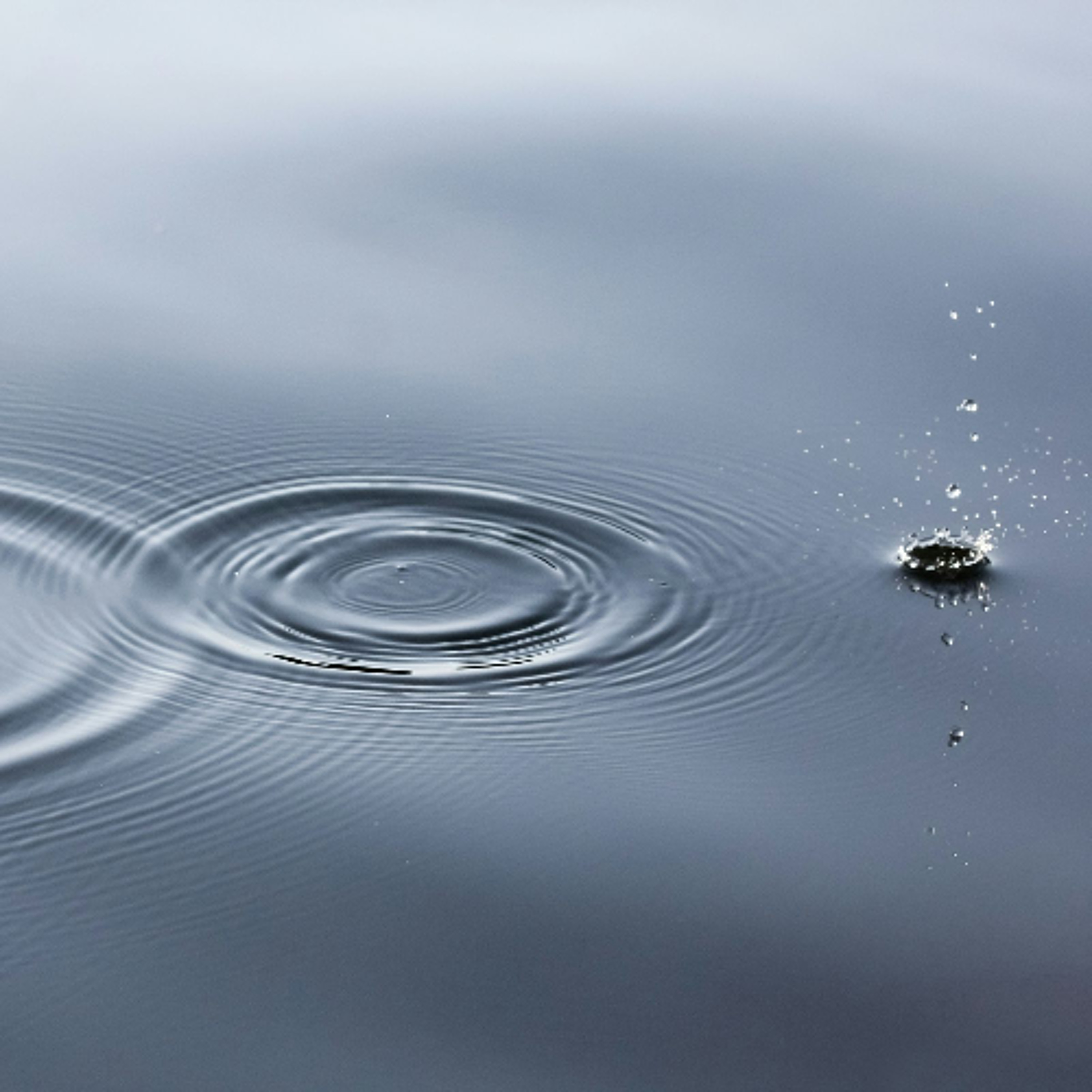 Ep. 533 Meditazione sulla Compassione