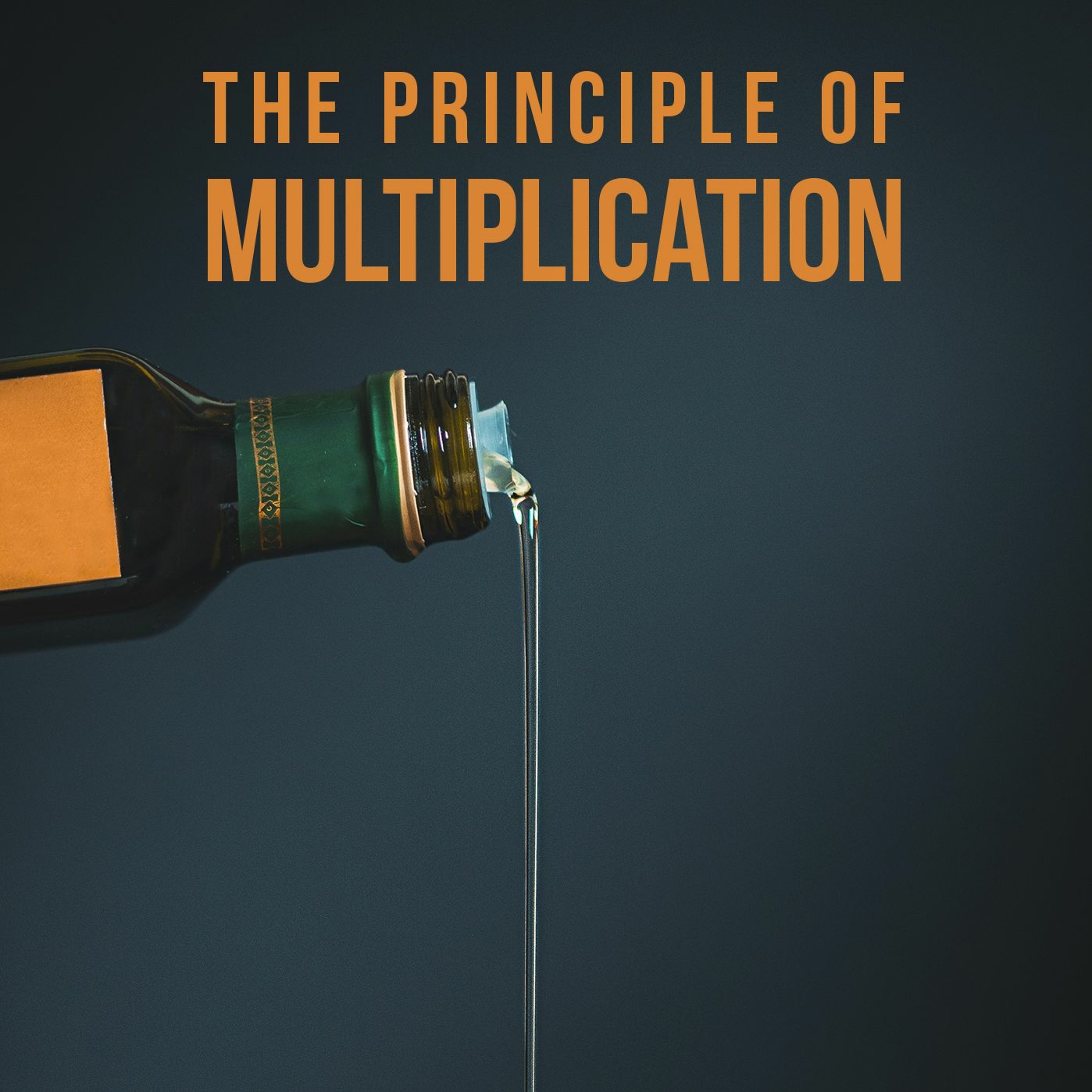 The principle of multiplication episode artwork