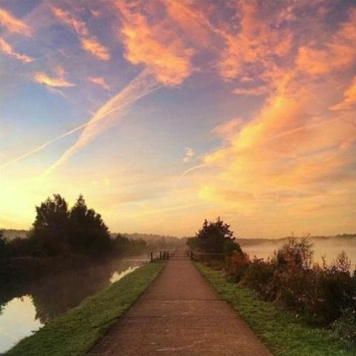Stream 