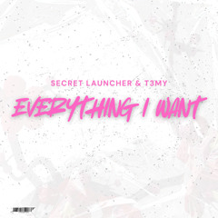 Secret Launcher - Everyting I Want (feat. T3my) - DJ Edit