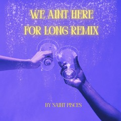 We Aint Here For Long Remix