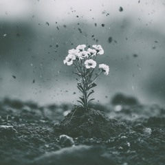 Time to be Born