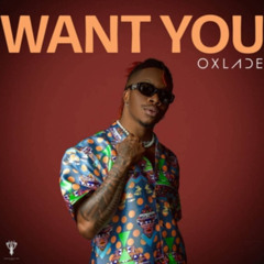 Oxlade - Want You (PalashevMusic - Remix)