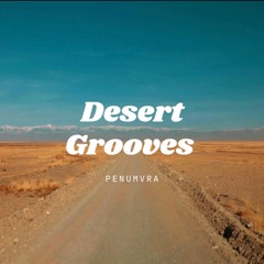 Desert Grooves