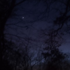 Winter Lock - Star Light echo eclipse.m4a