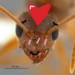 antz