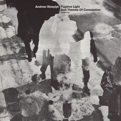 Andrew Wasylyk  - Awoke In The Early Days of a Better World