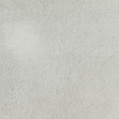 Tardigrain 1