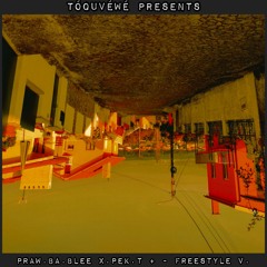 PRAW.BA.BLEE X.PEK.T + - FREESTYLE V.