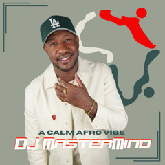 DJ MasterMind A Calm Afro Mix
