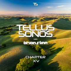 Brian Flinn - Tellus Sonos Chapter 15