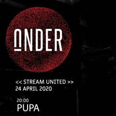 p u p a @ Under << steam united 2020 >>