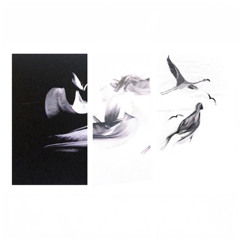 Tracks / Releases