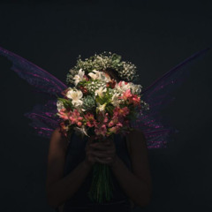NIGHT FLOWER