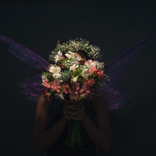 NIGHT FLOWER