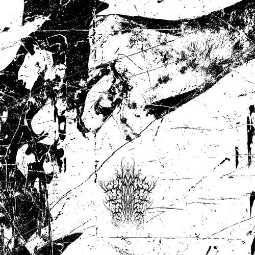 OSMONIADJMEREZAD - KOPƆLA YA BILOKO YA CHIMIQUE (HCN) CERBYD YN PYDRO (SiO2)