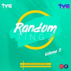 Random Tingz - Volume 2